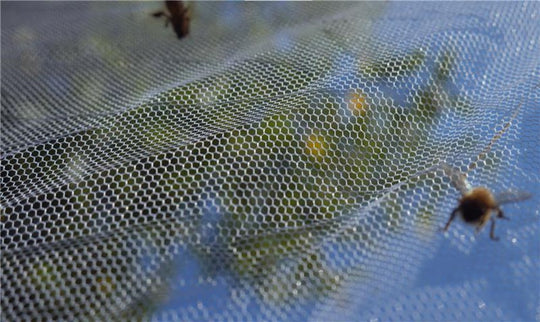 Bee Netting