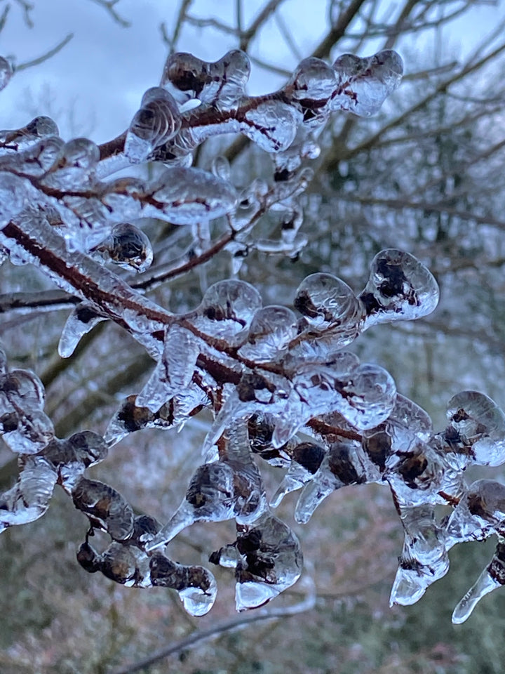 Ice Box Open