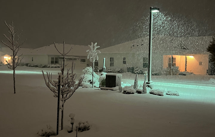 Snowy Future ?