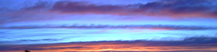 Mix of Chilly & Mild