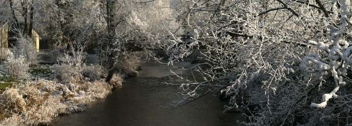 A Lesser Extent – OVS.com