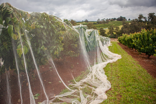 Bird Netting