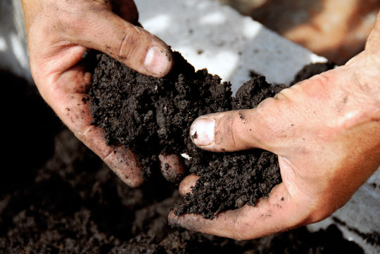 Soil Nutrition