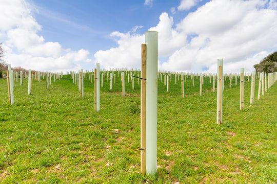 Tree Tubes