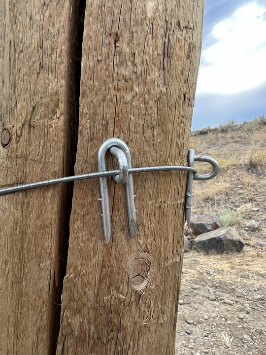 Barbed Staples