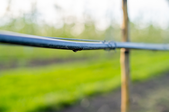 Drip Irrigation