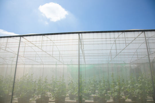 Insect Netting for Greenhouses