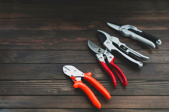 Pruning Tools