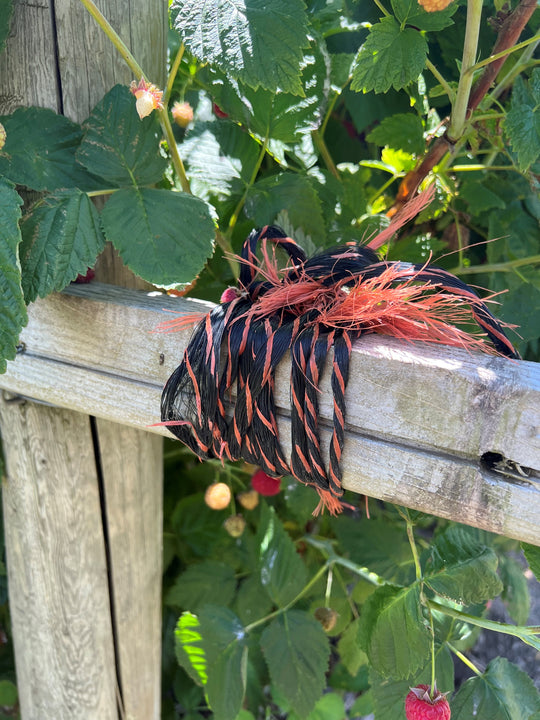 Tree Rope